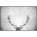 Picture of Forest King  _GroupedProduct_Rectangle_Landscape_Photography _GroupedProduct_Rectangle_Landscape_Canvas_Framed_