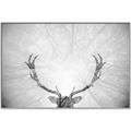 Picture of Forest King  _GroupedProduct_Rectangle_Landscape_Photography _GroupedProduct_Rectangle_Landscape_Canvas_Framed_