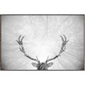 Picture of Forest King  _GroupedProduct_Rectangle_Landscape_Photography _GroupedProduct_Rectangle_Landscape_Canvas_Framed_