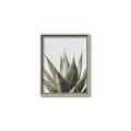Picture of Cactus Succulent _GroupedProduct_Rectangle_Portrait_Photography _GroupedProduct_Rectangle_Portrait_Canvas_Framed_