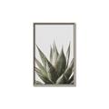 Picture of Cactus Succulent _GroupedProduct_Rectangle_Portrait_Photography _GroupedProduct_Rectangle_Portrait_Canvas_Framed_