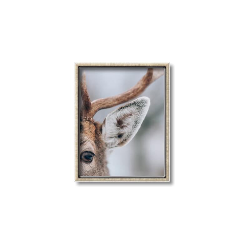 Picture of Eye of the Deer _GroupedProduct_Rectangle_Portrait_Photography _GroupedProduct_Rectangle_Portrait_Canvas_Framed_