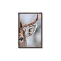 Picture of Eye of the Deer _GroupedProduct_Rectangle_Portrait_Photography _GroupedProduct_Rectangle_Portrait_Canvas_Framed_