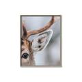 Picture of Eye of the Deer _GroupedProduct_Rectangle_Portrait_Photography _GroupedProduct_Rectangle_Portrait_Canvas_Framed_