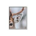 Picture of Eye of the Deer _GroupedProduct_Rectangle_Portrait_Photography _GroupedProduct_Rectangle_Portrait_Canvas_Framed_