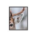 Picture of Eye of the Deer _GroupedProduct_Rectangle_Portrait_Photography _GroupedProduct_Rectangle_Portrait_Canvas_Framed_