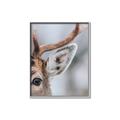 Picture of Eye of the Deer _GroupedProduct_Rectangle_Portrait_Photography _GroupedProduct_Rectangle_Portrait_Canvas_Framed_