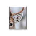 Picture of Eye of the Deer _GroupedProduct_Rectangle_Portrait_Photography _GroupedProduct_Rectangle_Portrait_Canvas_Framed_