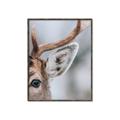 Picture of Eye of the Deer _GroupedProduct_Rectangle_Portrait_Photography _GroupedProduct_Rectangle_Portrait_Canvas_Framed_