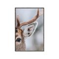 Picture of Eye of the Deer _GroupedProduct_Rectangle_Portrait_Photography _GroupedProduct_Rectangle_Portrait_Canvas_Framed_