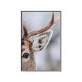 Picture of Eye of the Deer _GroupedProduct_Rectangle_Portrait_Photography _GroupedProduct_Rectangle_Portrait_Canvas_Framed_