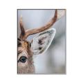 Picture of Eye of the Deer _GroupedProduct_Rectangle_Portrait_Photography _GroupedProduct_Rectangle_Portrait_Canvas_Framed_