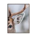 Picture of Eye of the Deer _GroupedProduct_Rectangle_Portrait_Photography _GroupedProduct_Rectangle_Portrait_Canvas_Framed_