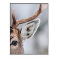 Picture of Eye of the Deer _GroupedProduct_Rectangle_Portrait_Photography _GroupedProduct_Rectangle_Portrait_Canvas_Framed_