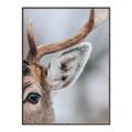 Picture of Eye of the Deer _GroupedProduct_Rectangle_Portrait_Photography _GroupedProduct_Rectangle_Portrait_Canvas_Framed_