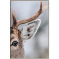 Picture of Eye of the Deer _GroupedProduct_Rectangle_Portrait_Photography _GroupedProduct_Rectangle_Portrait_Canvas_Framed_