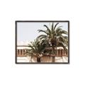Picture of Wall with Palm Tree _GroupedProduct_Rectangle_Landscape_Photography _GroupedProduct_Rectangle_Landscape_Canvas_Framed_