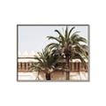 Picture of Wall with Palm Tree _GroupedProduct_Rectangle_Landscape_Photography _GroupedProduct_Rectangle_Landscape_Canvas_Framed_