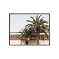 Picture of Wall with Palm Tree _GroupedProduct_Rectangle_Landscape_Photography _GroupedProduct_Rectangle_Landscape_Canvas_Framed_