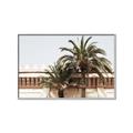 Picture of Wall with Palm Tree _GroupedProduct_Rectangle_Landscape_Photography _GroupedProduct_Rectangle_Landscape_Canvas_Framed_