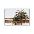 Picture of Wall with Palm Tree _GroupedProduct_Rectangle_Landscape_Photography _GroupedProduct_Rectangle_Landscape_Canvas_Framed_