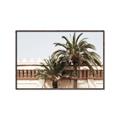 Picture of Wall with Palm Tree _GroupedProduct_Rectangle_Landscape_Photography _GroupedProduct_Rectangle_Landscape_Canvas_Framed_