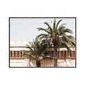 Picture of Wall with Palm Tree _GroupedProduct_Rectangle_Landscape_Photography _GroupedProduct_Rectangle_Landscape_Canvas_Framed_