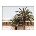 Picture of Wall with Palm Tree _GroupedProduct_Rectangle_Landscape_Photography _GroupedProduct_Rectangle_Landscape_Canvas_Framed_