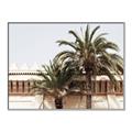 Picture of Wall with Palm Tree _GroupedProduct_Rectangle_Landscape_Photography _GroupedProduct_Rectangle_Landscape_Canvas_Framed_