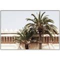 Picture of Wall with Palm Tree _GroupedProduct_Rectangle_Landscape_Photography _GroupedProduct_Rectangle_Landscape_Canvas_Framed_