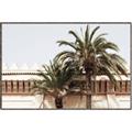 Picture of Wall with Palm Tree _GroupedProduct_Rectangle_Landscape_Photography _GroupedProduct_Rectangle_Landscape_Canvas_Framed_