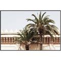 Picture of Wall with Palm Tree _GroupedProduct_Rectangle_Landscape_Photography _GroupedProduct_Rectangle_Landscape_Canvas_Framed_