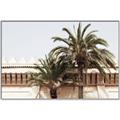 Picture of Wall with Palm Tree _GroupedProduct_Rectangle_Landscape_Photography _GroupedProduct_Rectangle_Landscape_Canvas_Framed_