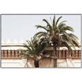 Picture of Wall with Palm Tree _GroupedProduct_Rectangle_Landscape_Photography _GroupedProduct_Rectangle_Landscape_Canvas_Framed_