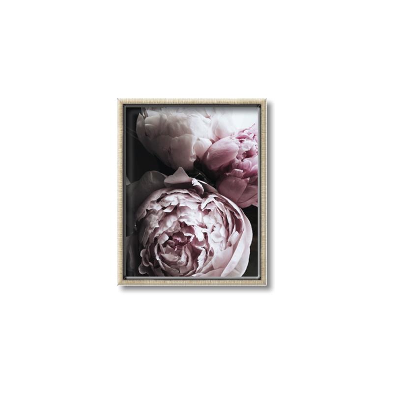 Picture of Blush Bloom _GroupedProduct_Rectangle_Portrait_Photography _GroupedProduct_Rectangle_Portrait_Canvas_Framed_