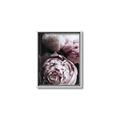Picture of Blush Bloom _GroupedProduct_Rectangle_Portrait_Photography _GroupedProduct_Rectangle_Portrait_Canvas_Framed_