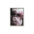 Picture of Blush Bloom _GroupedProduct_Rectangle_Portrait_Photography _GroupedProduct_Rectangle_Portrait_Canvas_Framed_