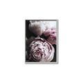 Picture of Blush Bloom _GroupedProduct_Rectangle_Portrait_Photography _GroupedProduct_Rectangle_Portrait_Canvas_Framed_