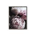 Picture of Blush Bloom _GroupedProduct_Rectangle_Portrait_Photography _GroupedProduct_Rectangle_Portrait_Canvas_Framed_