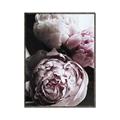 Picture of Blush Bloom _GroupedProduct_Rectangle_Portrait_Photography _GroupedProduct_Rectangle_Portrait_Canvas_Framed_