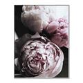 Picture of Blush Bloom _GroupedProduct_Rectangle_Portrait_Photography _GroupedProduct_Rectangle_Portrait_Canvas_Framed_