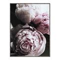 Picture of Blush Bloom _GroupedProduct_Rectangle_Portrait_Photography _GroupedProduct_Rectangle_Portrait_Canvas_Framed_