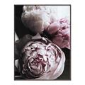 Picture of Blush Bloom _GroupedProduct_Rectangle_Portrait_Photography _GroupedProduct_Rectangle_Portrait_Canvas_Framed_