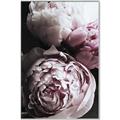 Picture of Blush Bloom _GroupedProduct_Rectangle_Portrait_Photography _GroupedProduct_Rectangle_Portrait_Canvas_Framed_