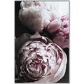 Picture of Blush Bloom _GroupedProduct_Rectangle_Portrait_Photography _GroupedProduct_Rectangle_Portrait_Canvas_Framed_