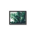 Picture of Fern Garden  _GroupedProduct_Rectangle_Landscape_Photography _GroupedProduct_Rectangle_Landscape_Canvas_Framed_