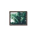 Picture of Fern Garden  _GroupedProduct_Rectangle_Landscape_Photography _GroupedProduct_Rectangle_Landscape_Canvas_Framed_