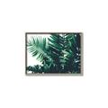 Picture of Fern Garden  _GroupedProduct_Rectangle_Landscape_Photography _GroupedProduct_Rectangle_Landscape_Canvas_Framed_