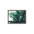 Picture of Fern Garden  _GroupedProduct_Rectangle_Landscape_Photography _GroupedProduct_Rectangle_Landscape_Canvas_Framed_