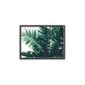 Picture of Fern Garden  _GroupedProduct_Rectangle_Landscape_Photography _GroupedProduct_Rectangle_Landscape_Canvas_Framed_